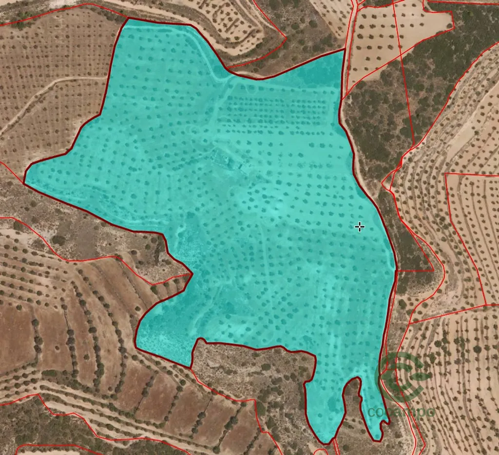 Spot image